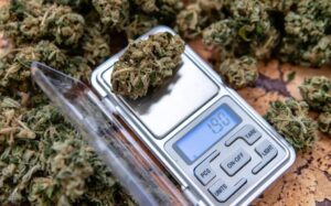 Complete Guide to Weed Measurements