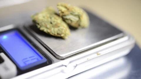 How Much is a Gram of Weed? Pricing, Weight, and Measurements