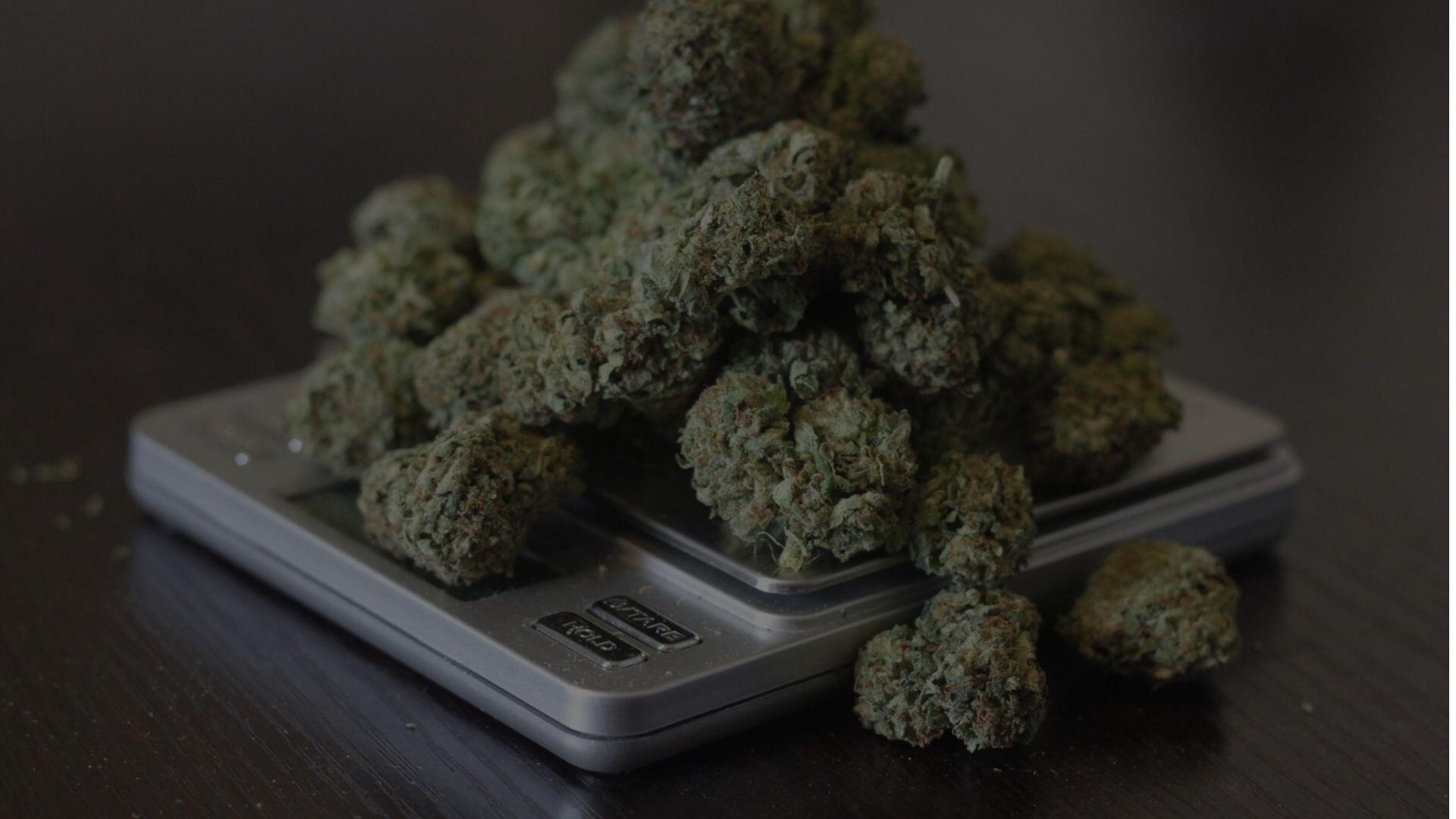 How Much Is a Quarter of Weed?Price, Measurement, and Usage